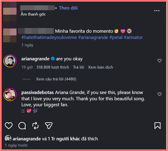 Ariana Grande 'sốc' khi thấy fan nhảy xuống sông Ảnh 2