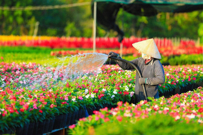 Về thăm 'quê hương thứ hai' của Hồ Văn Cường Ảnh 2