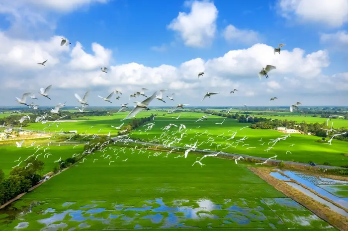 Về thăm 'quê hương thứ hai' của Hồ Văn Cường Ảnh 3