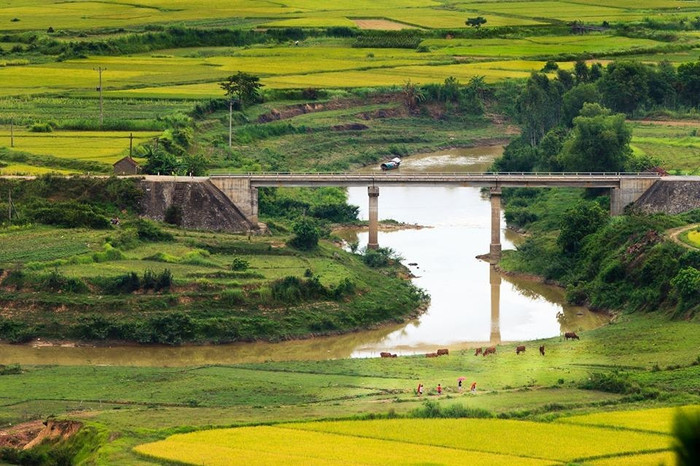 Cảnh đẹp đồng quê ở Nghệ An.