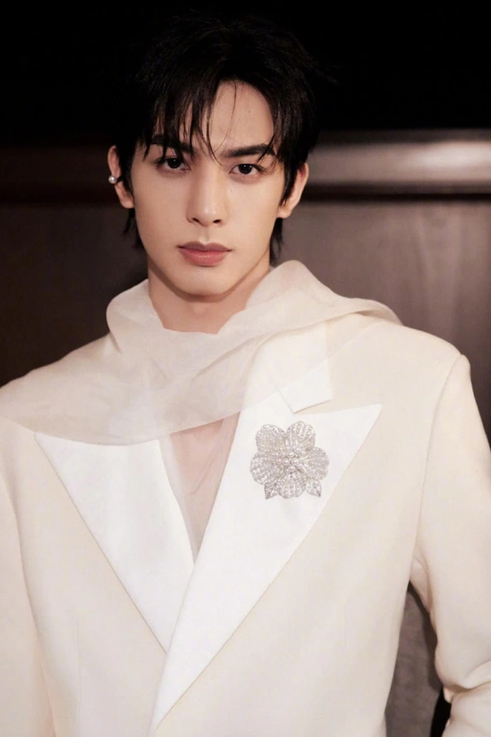 Sở hữu ngoại hình sáng, Tống Uy Long gây sốt với vai Nguyên Tống - hình tượng 'phi công trẻ' đầy cuốn hút. Đến Lấy Danh Nghĩa Người Nhà, nhân vật Lăng Tiêu trầm lặng, thâm tình giúp anh củng cố vị trí trong lòng khán giả.