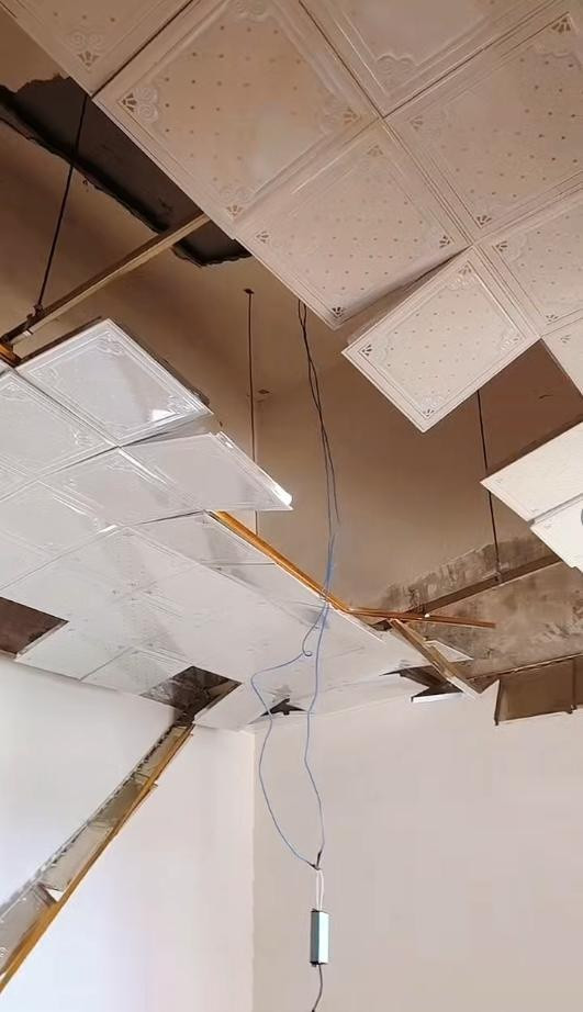 Đang ngủ giữa đêm, người phụ nữ sốc nặng vì thứ rơi xuống từ trần nhà Ảnh 1