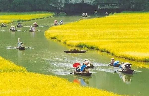 Tháng 5 về Ninh Bình quê Phương Oanh, đừng bỏ lỡ 5 trải nghiệm chỉ có đúng mùa này Ảnh 2