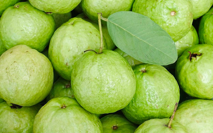 Ổi mới là loại quả có nhiều Vitamin C hơn cả cam.