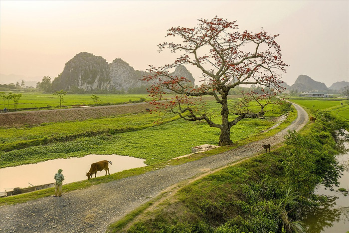 Gallery - Đi tìm những âm thanh đặc trưng của Ninh Bình quê Phương Oanh - Saostar.vn