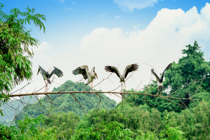Gallery - Đi tìm những âm thanh đặc trưng của Ninh Bình quê Phương Oanh - Saostar.vn - image 4