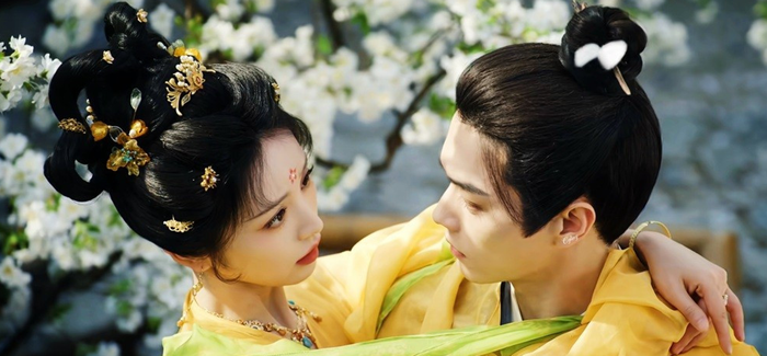 Lấy bối cảnh kinh thành Trường An hoa lệ nhưng ẩn chứa vô số hiện tượng kỳ bí, Tử Dạ Quy kể về mối nhân duyên đặc biệt giữa Vũ Trinh - quận chúa nổi tiếng ăn chơi nhưng thực chất là yêu miêu tu luyện trăm năm, thủ lĩnh của giới yêu quái và Mai Trục Vũ, một đạo sĩ bắt yêu chính trực thuộc Thường Hi Cung. Từ thế đối đầu và nghi kỵ, cả hai dần trở thành đồng đội, cùng phá giải những vụ án kỳ lạ và chống lại thế lực ma quỷ để bảo vệ sự bình yên của Trường An. Việc kết hợp yếu tố huyền huyễn, trinh thám và lãng mạn cùng màn sánh đôi của Hứa Khải và Điền Hi Vi giúp bộ phim nhận được nhiều sự quan tâm. Tác phẩm được chuyển thể từ tiểu thuyết Mai Phu Nhân Sủng Phu Hằng Ngày của Phúc Hoa Tử.