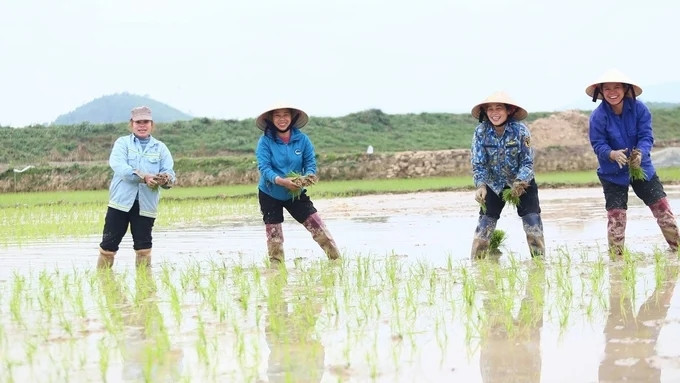 Những nụ cười thân thiện, hồn hậu của người nông dân Nghệ An.