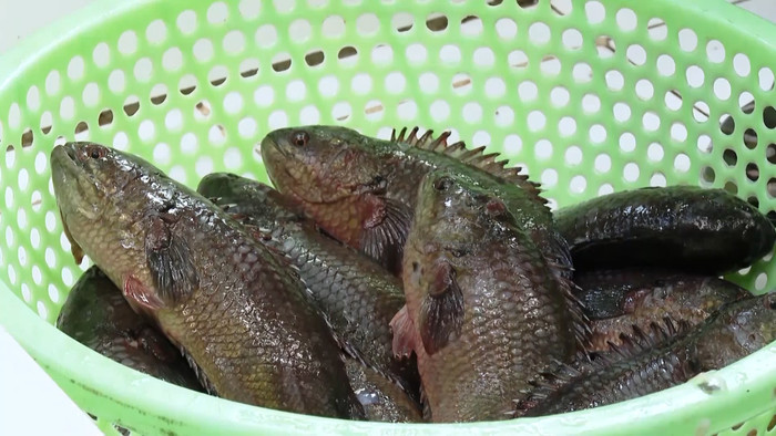 Đặc sản ít người biết ở quê hương thứ hai của Phương Oanh Ảnh 2