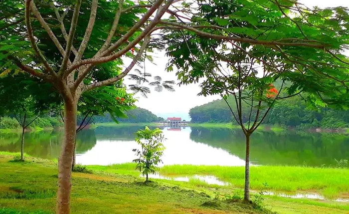 Ninh Bình quê Phương Oanh có một thảo nguyên đẹp như phim cổ trang, nhiều người chưa từng nghe tên Ảnh 5