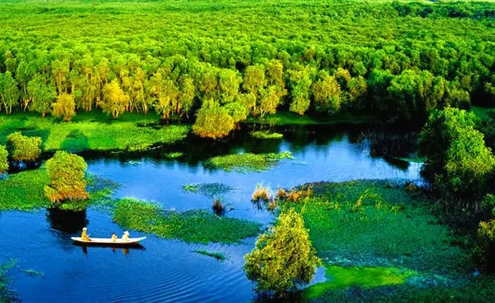 Vườn quốc gia Tràm Chim.