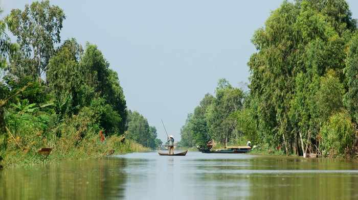 Cánh sông nước Đồng Tháp.