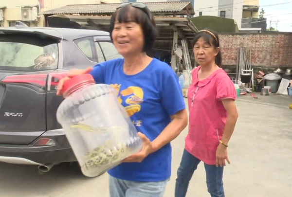 Con vật dài 1,8m xuất hiện trước cửa nhà, hành động của nữ trưởng thôn khiến người dân ngỡ ngàng Ảnh 2