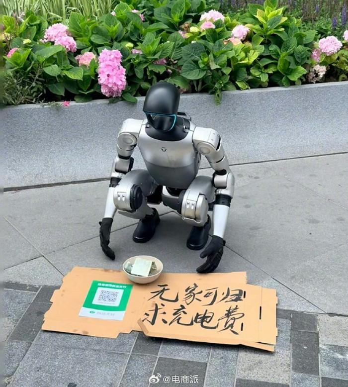 Robot quỳ gối xin tiền giữa phố, cư dân mạng 'dậy sóng' Ảnh 1
