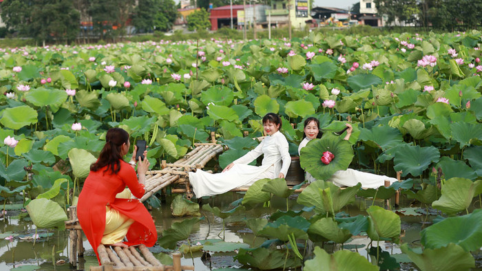 Về quê Hoà Minzy ngắm mùa sen đẹp nhất Bắc Ninh Ảnh 3