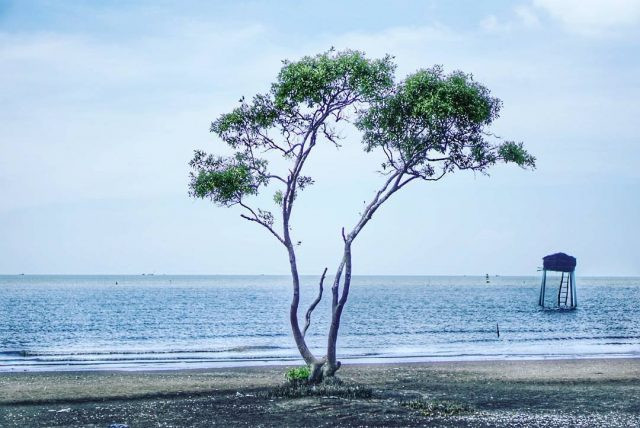 Cảnh thơ mộng ở biển Tân Thành