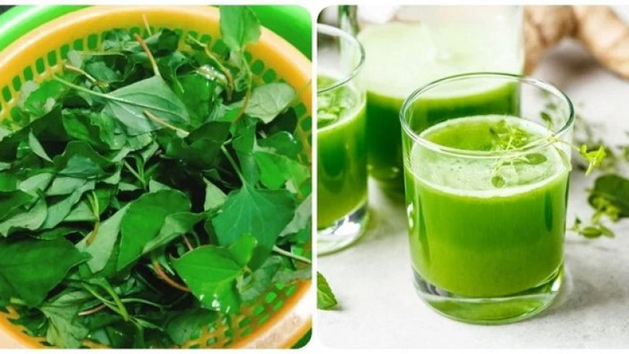Rau diếp cá rất dễ tìm mua, giá cả lại rẻ bèo.
