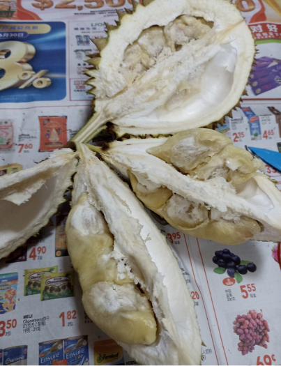 Mua 15 quả sầu riêng chưa đến 600.000 đồng, cụ bà đứng hình khi bổ ra Ảnh 2