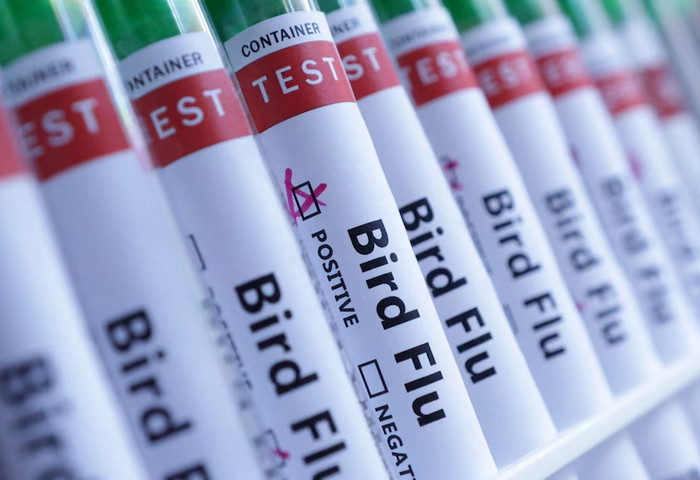 Ảnh: REUTERS
