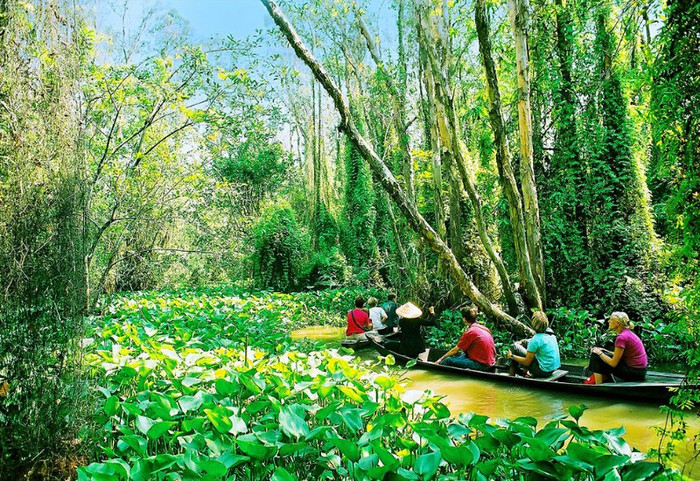 Du khách tham quan Khu du lịch Xẻo Quýt.&nbsp;