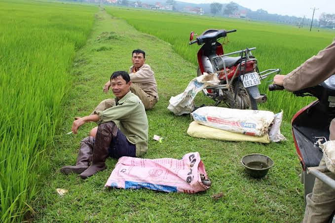 Người dân Nghệ An với tính cách chịu thương chịu khó.