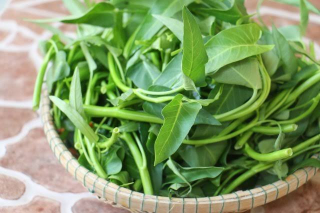 5 loại rau rẻ nhưng cực bổ dưỡng, nhiều gia đình Việt đang ăn mà không biết giá trị thật Ảnh 1