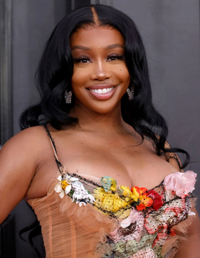 SZA nổi giận vì AI Ảnh 7