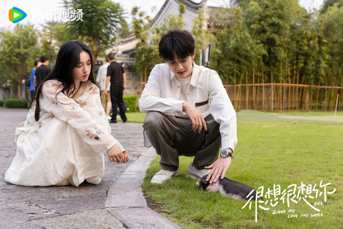 Chuyển thể từ tiểu thuyết cùng tên của Mặc Bảo Phi Bảo, Rất Nhớ Rất Nhớ Anh mang màu sắc chữa lành với câu chuyện tình yêu bắt đầu từ thế giới mạng. Nhân vật Cố Thanh đem lòng yêu mến giọng nói của Thương Thanh Từ - một nhân vật nổi tiếng trong giới lồng tiếng, đồng thời là bác sĩ tim mạch ngoài đời thực. Qua những lần hợp tác và tiếp xúc, cả hai dần phát triển tình cảm và cùng nhau viết nên câu chuyện tình yêu ngọt ngào. Bộ phim ghi điểm nhờ cách khai thác mới mẻ về lĩnh vực lồng tiếng, âm nhạc cổ phong và ẩm thực.
