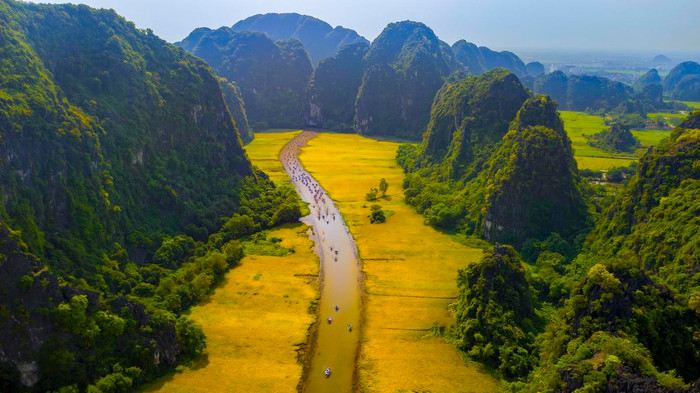 Tam Cốc mùa lúa chín.