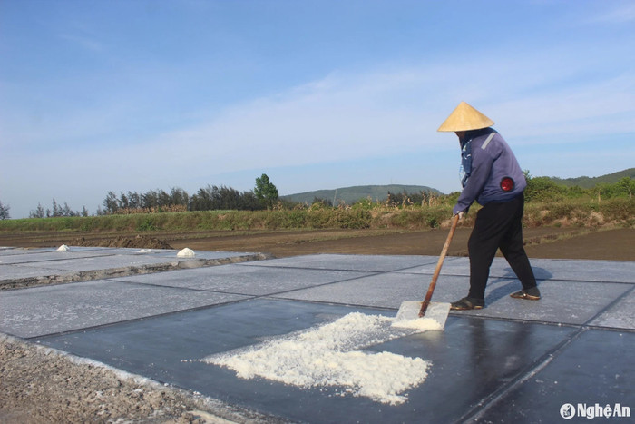 Trong những ngày gió Lào, nhịp sống của người dân xứ Nghệ cũng không chậm lại. Ảnh: báo Nghệ An.