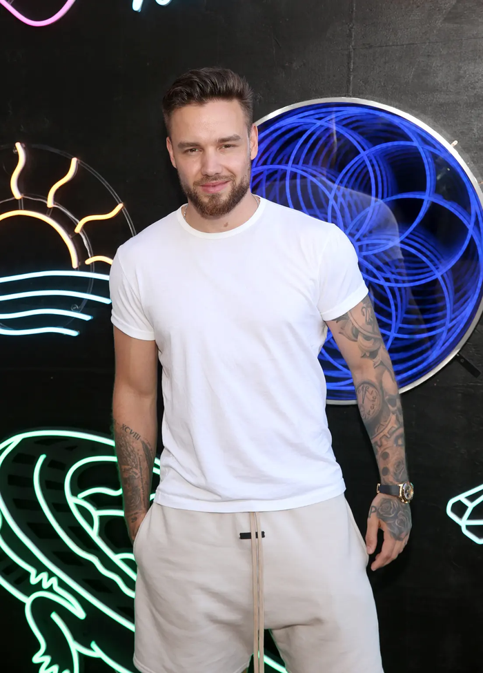 Liam Payne qua đời vào tháng 10/2024 sau khi rơi từ ban công phòng khách sạn ở tầng 3 của khách sạn Casa Sur Palermo tại Buenos Aires (Argentina). 