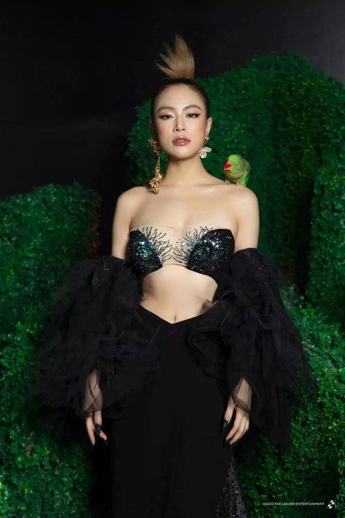 'Thế lực' đưa ca sĩ Hoàng Thùy Linh lên đỉnh cao Ảnh 8