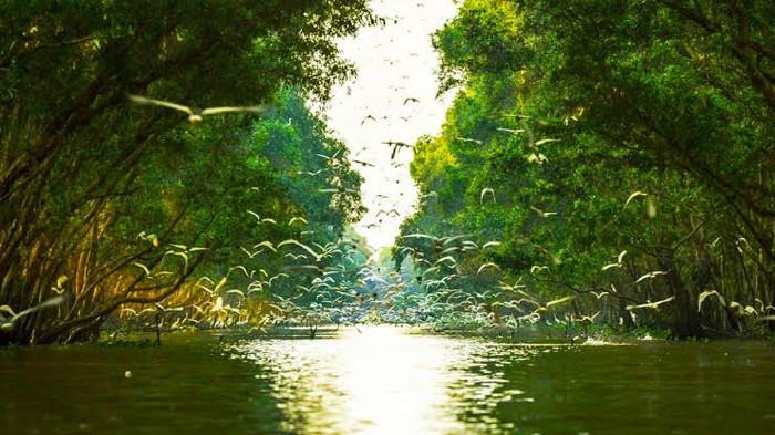 Quê hương Hồ Văn Cường sở hữu lợi thế mà rất ít địa phương có, ai đến cũng bất ngờ Ảnh 3