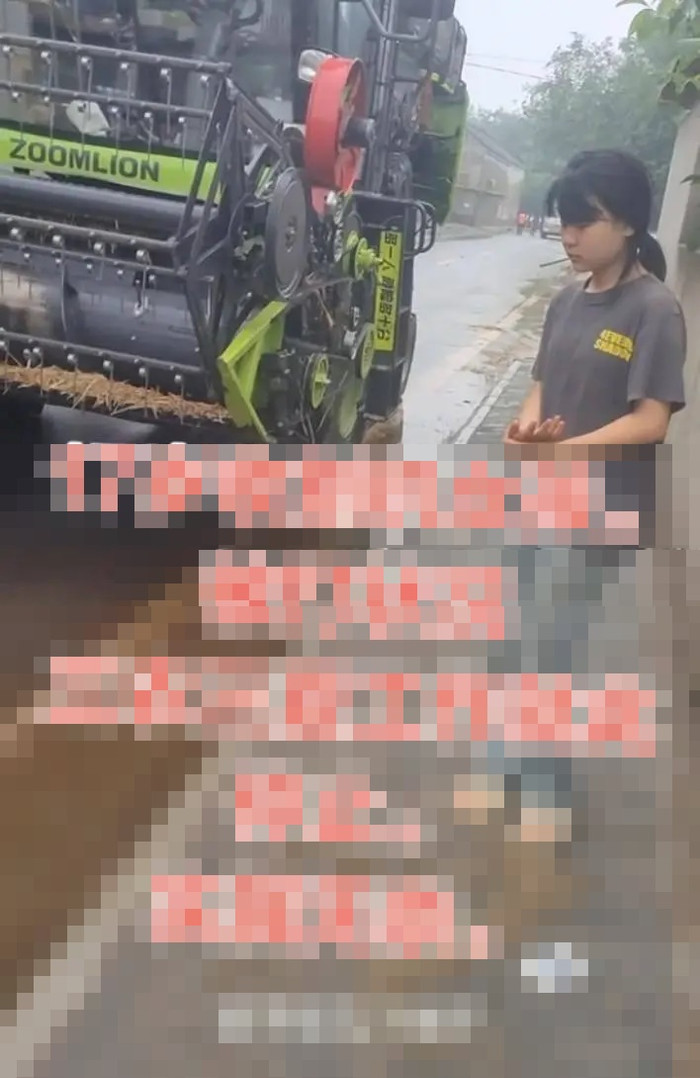 Đưa con gái 17 tuổi đi gặt lúa mì, người cha sốc nặng trước sự việc xảy ra giữa cánh đồng Ảnh 3