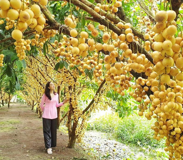 Về thăm vùng đất nuôi dưỡng Nam Em Ảnh 3