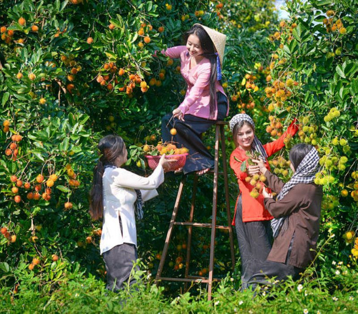 Về thăm vùng đất nuôi dưỡng Nam Em Ảnh 4
