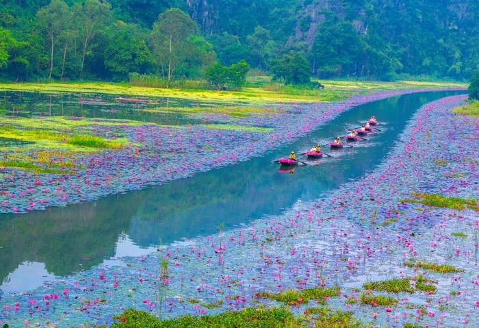 Đi nhiều nơi mới nhận ra Ninh Bình quê Phương Oanh có một kiểu bình yên rất riêng Ảnh 2