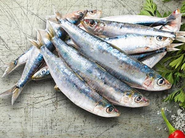 Ăn loại cá nào giúp bổ não, tốt cho trí nhớ? Ảnh 3