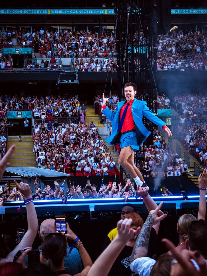 Harry Styles đột ngột ngã xuống sân khấu, hàng chục ngàn khán giả lo lắng Ảnh 3