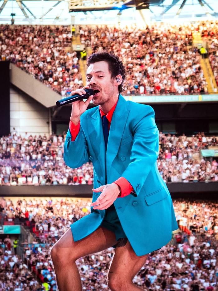 Harry Styles đột ngột ngã xuống sân khấu, hàng chục ngàn khán giả lo lắng Ảnh 4