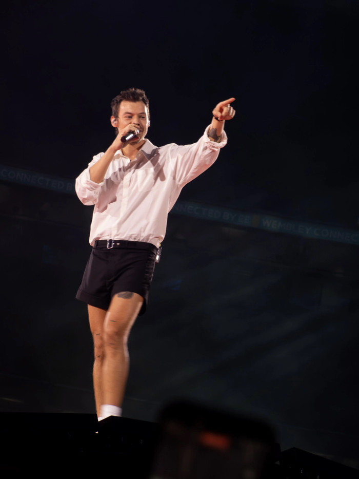 Harry Styles đột ngột ngã xuống sân khấu, hàng chục ngàn khán giả lo lắng Ảnh 1