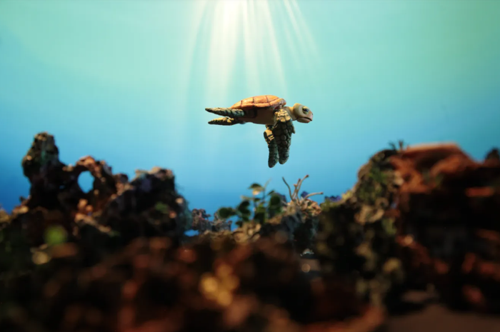 The Plastic Turtle. Ảnh: Proimagenes