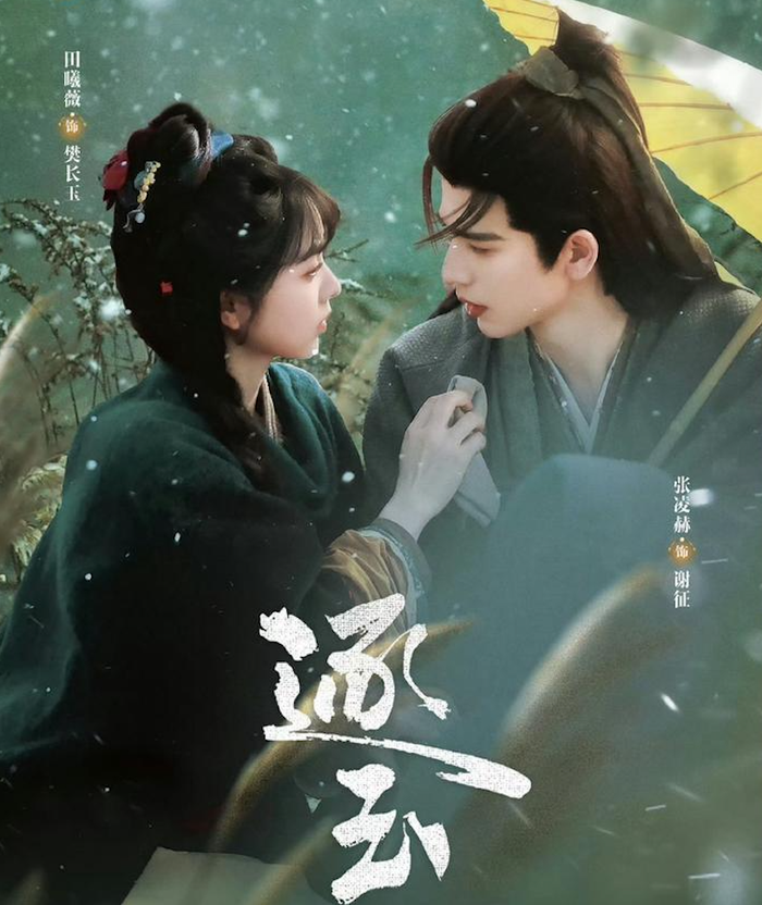 Phàn Trường Ngọc là cô gái xuất thân gia đình đồ tể, sống thực tế, mạnh mẽ và luôn tự mình gánh vác cuộc sống sau biến cố gia đình. Trong một lần tình cờ, nàng cứu được Tạ Chinh - vị Vũ An Hầu đang mang trong mình mối huyết thù kéo dài suốt 17 năm. Để che giấu thân phận và thuận tiện điều tra chân tướng vụ án diệt tộc, Tạ Chinh lựa chọn ẩn mình, giả làm gia đinh và đồng thời ký kết một cuộc hôn nhân giả với Trường Ngọc. Từ mối quan hệ mang tính lợi dụng và che đậy ban đầu, cả hai dần bị cuốn vào cuộc sống thường nhật nơi trấn nhỏ, cùng trải qua nhiều biến động, hiểu lầm và thử thách từ triều đình. Chính những va chạm ấy khiến khoảng cách giữa họ dần thu hẹp, để rồi tình cảm nảy sinh giữa lúc bí mật quá khứ từng bước bị phơi bày.