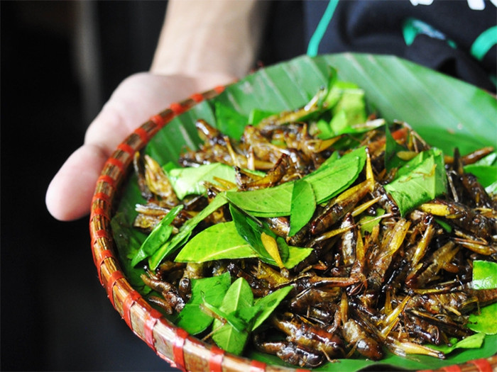3 món ăn 'nặng đô' ở quê hương Nam Em, nhiều du khách thật lòng không dám thử Ảnh 4