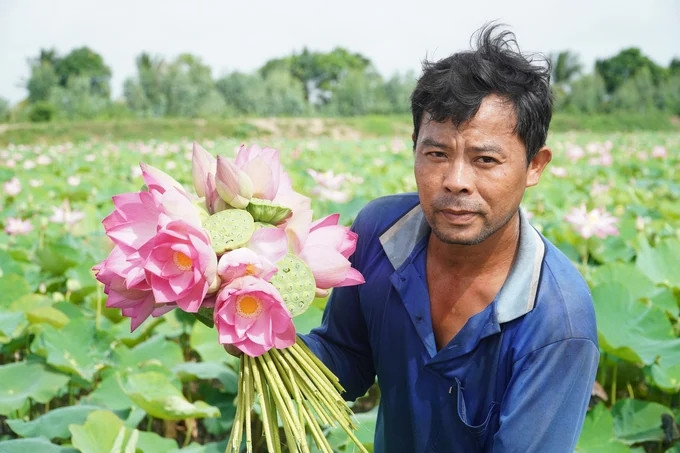 Những cánh đồng sen bạt ngàn là biểu tượng của Đồng Tháp, nhưng điều khiến nhiều du khách lưu luyến lại là sự hiền hòa, mến khách của người dân nơi đây.