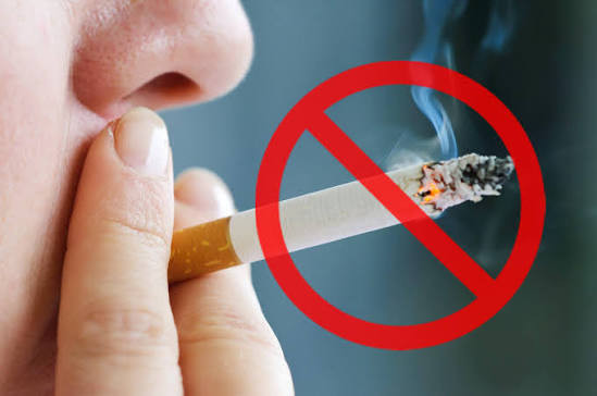 Những thói quen giúp làm chậm quá trình lão hóa sau tuổi 60 Ảnh 8