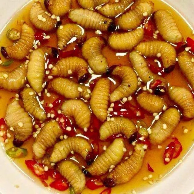 5 món đặc sản độc lạ ở quê Quốc Trường liệu có làm khó Tiểu Vy? Ảnh 2