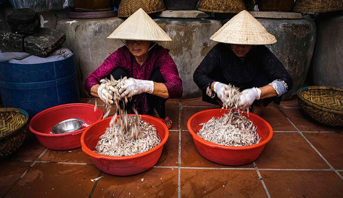 Ít người biết ở quê Mỹ Tâm có một làng nước mắm hơn 100 năm tuổi, mùi biển thấm vào từng nếp nhà Ảnh 4