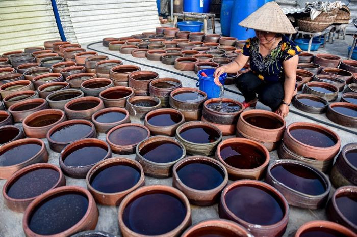 Ít người biết ở quê Mỹ Tâm có một làng nước mắm hơn 100 năm tuổi, mùi biển thấm vào từng nếp nhà Ảnh 6