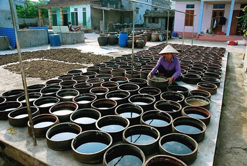 Ít người biết ở quê Mỹ Tâm có một làng nước mắm hơn 100 năm tuổi, mùi biển thấm vào từng nếp nhà Ảnh 5